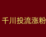 千川1000粉大概花费多少？揭秘你的投资回报率