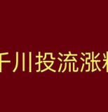 千川1000粉大概花费多少？揭秘你的投资回报率