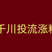 千川1000粉大概花费多少？揭秘你的投资回报率