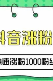 新手如何在短时间内涨粉10,000？掌握这些技巧，轻松突破瓶颈