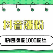 新手如何在短时间内涨粉10,000？掌握这些技巧，轻松突破瓶颈
